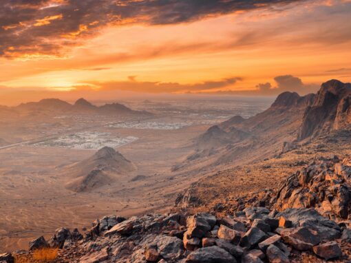 Camels Don’t Fly, Deserts Don’t Bloom: an Assessment of Saudi Arabia’s Experiment in Desert Agriculture