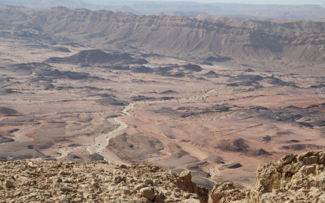 The Middle East Water Question – Hydropolitics and the Global Economy